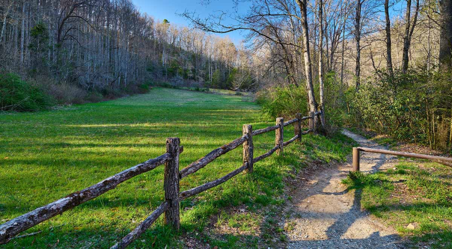 Must-See Asheville Attractions During Spring