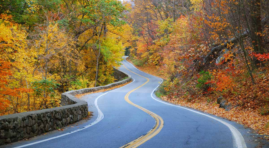 Asheville’s Top Holiday Events