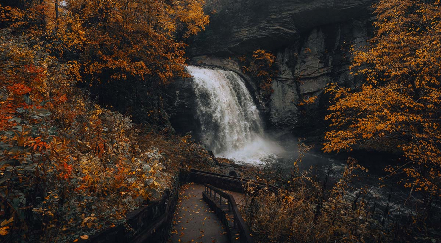 Why You Need to Visit Asheville Today